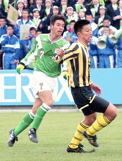 兰从猫咪变 兰从猫咪变